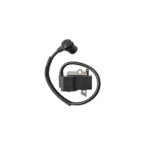 Bobina accensione echo - di,